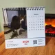 Настільний календар "Срущі коти 2026"