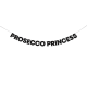 Гірлянда "PROSECCO PRINCESS" 